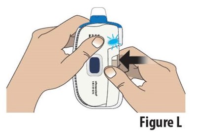 Figure L.jpg L - Figure L